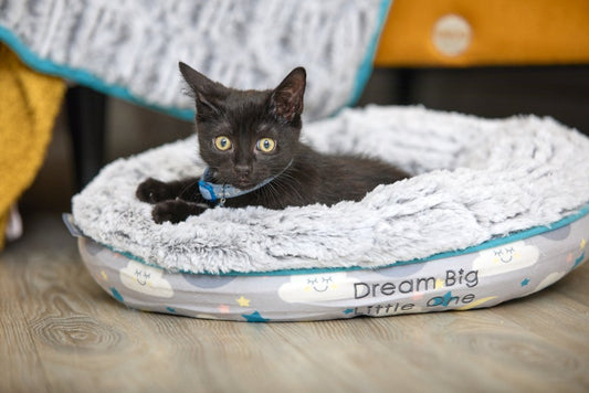 LITTLE PETFACE CAT DONUT BED